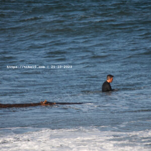 Foto Surf desde Gijón